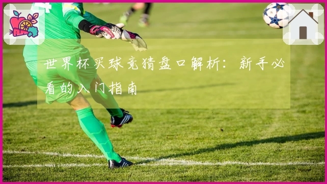 世界杯买球竞猜盘口解析：新手必看的入门指南