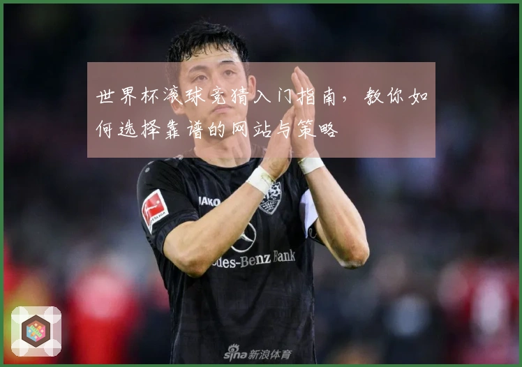 世界杯滚球竞猜入门指南，教你如何选择靠谱的网站与策略