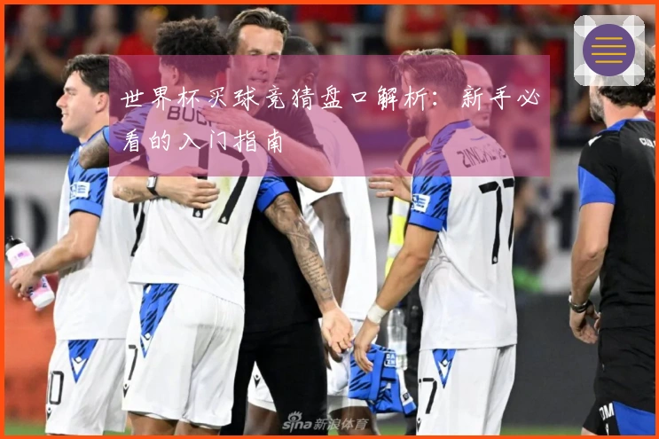 世界杯买球竞猜盘口解析：新手必看的入门指南